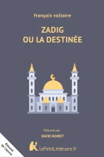 Zadig ou la Destinée